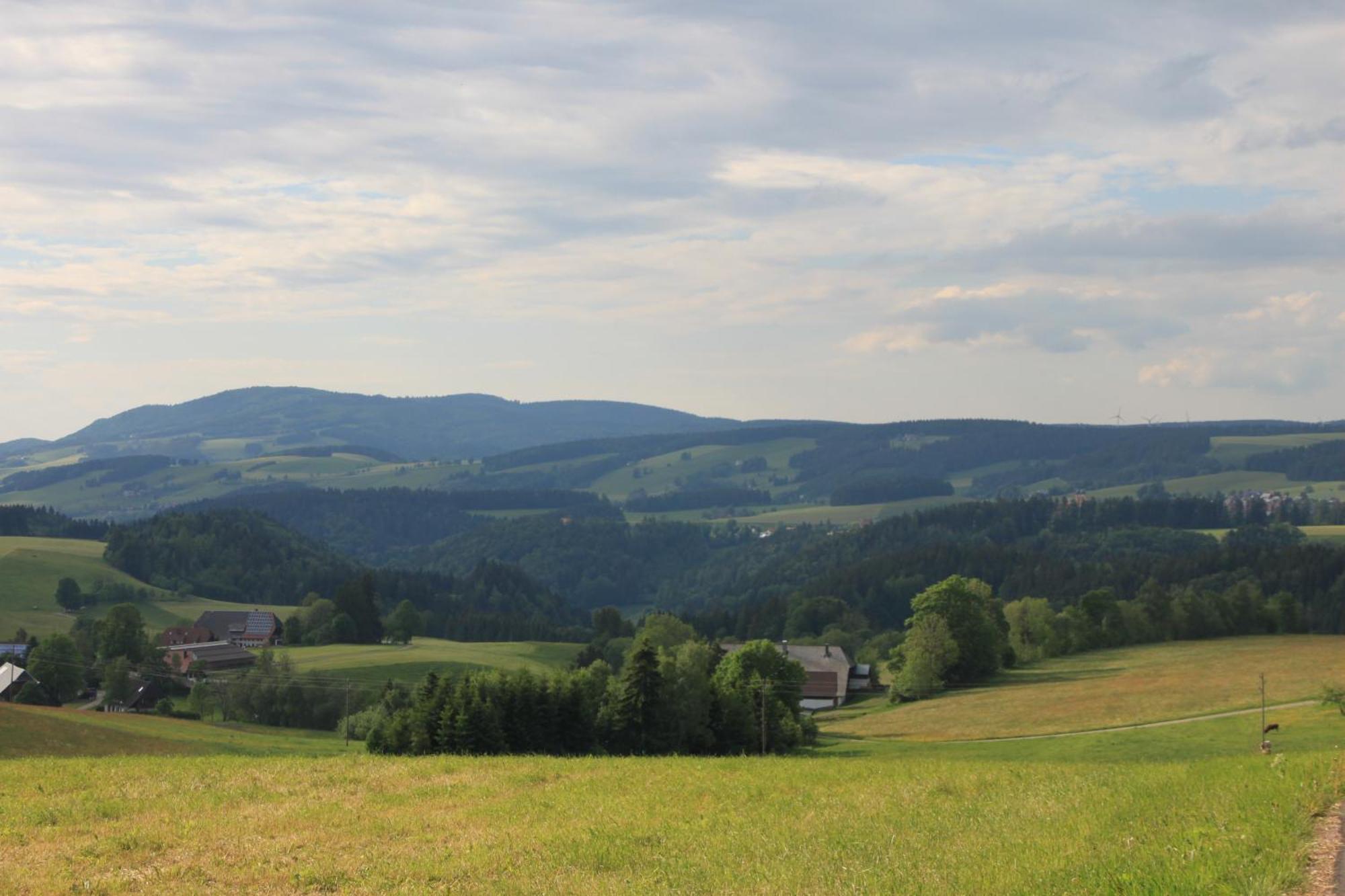 Ferienwohnungen Rebstock Schonach im Schwarzwald Exteriér fotografie